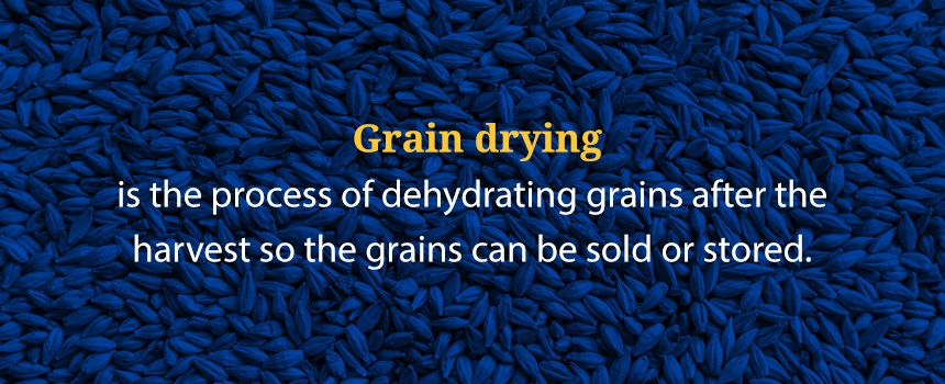 grain drying definition