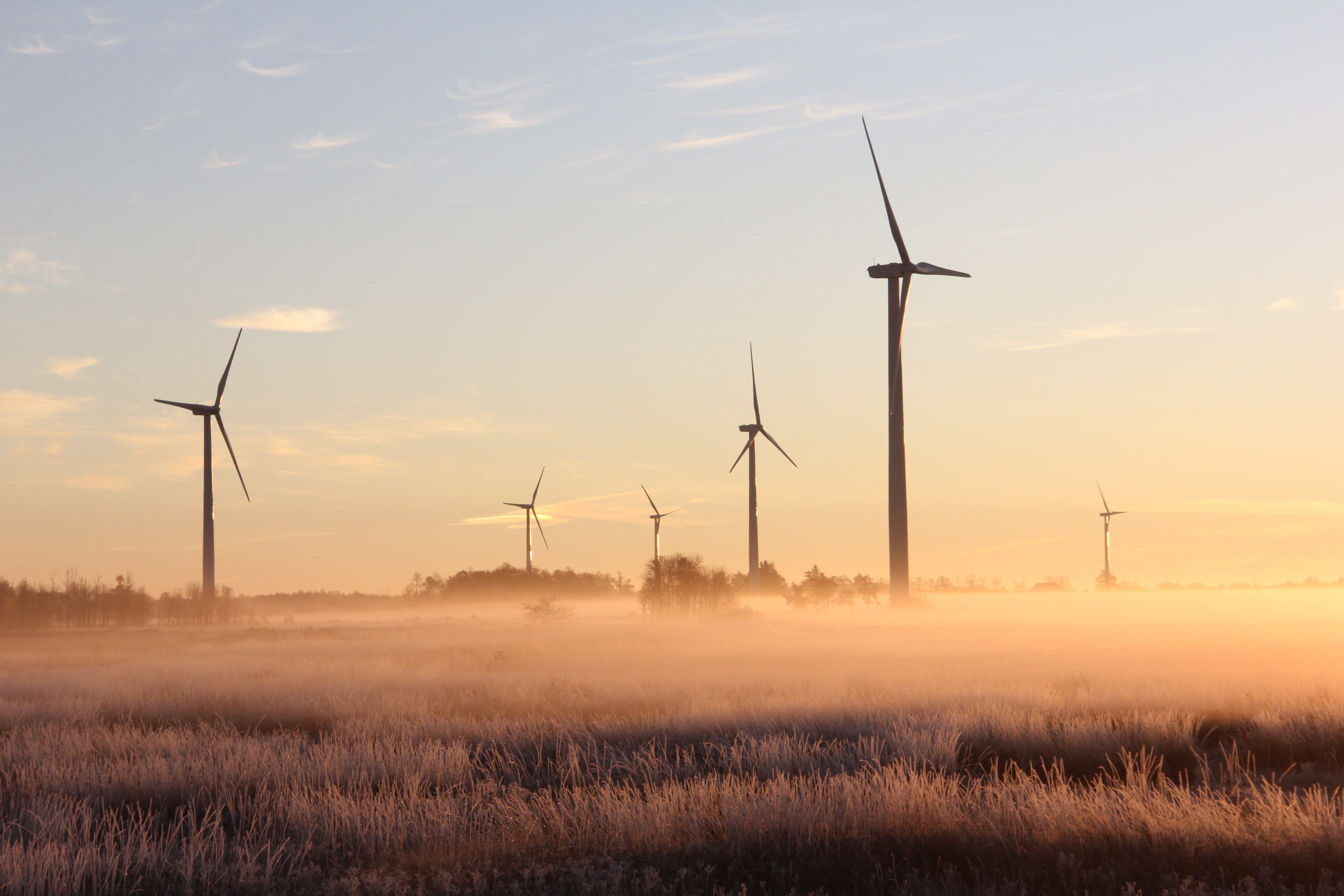 Power-producing windmills in a foggy field for Shipley Energy's October energy market update