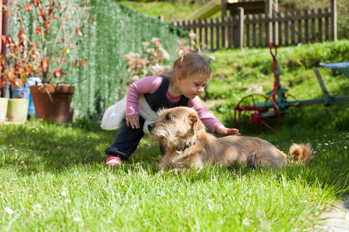 Little girl petting a dog outside in the grass for a resource by Shipley Energy about keeping pets safe and cool in the summer heat