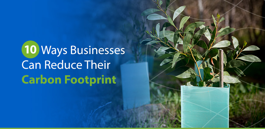 Business reduce carbon footprint