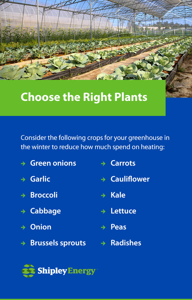 choose the right plants