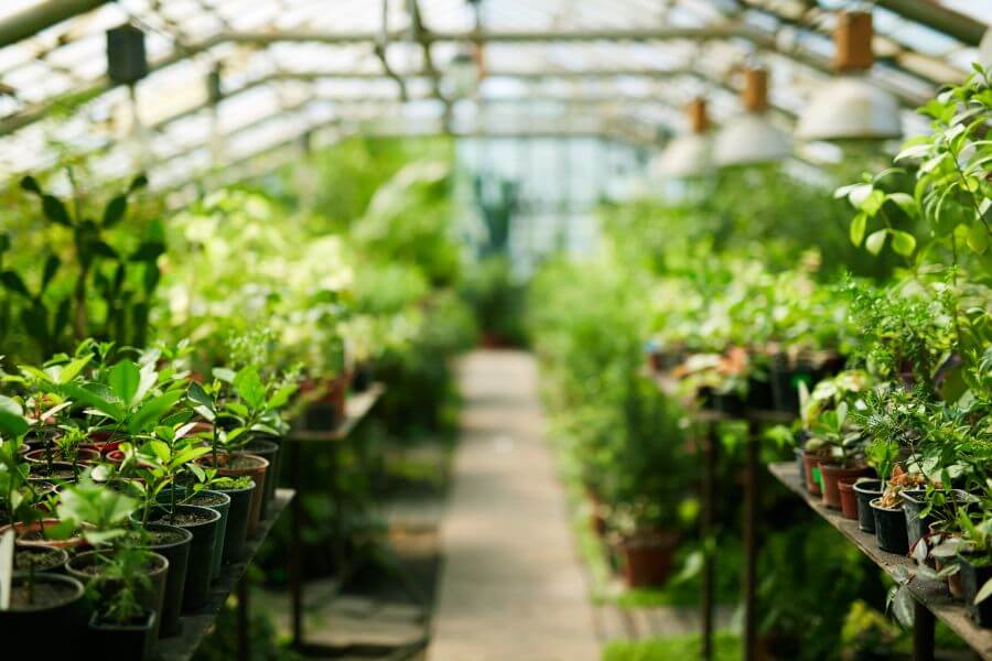 finding the most efficient way to heat a greenhouse