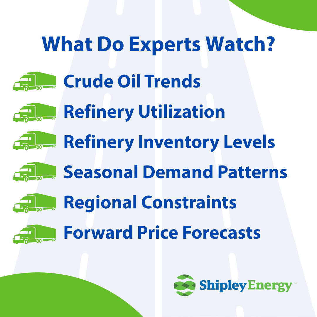 What do experts watch?